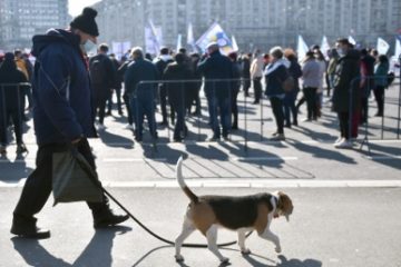 Sindicaliştii din cadrul Poştei Române au protestat în faţa Guvernului