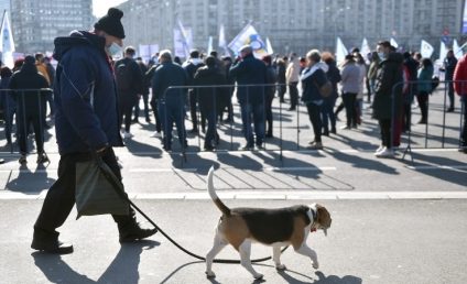 Sindicaliştii din cadrul Poştei Române au protestat în faţa Guvernului