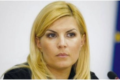 Elena Udrea rămâne cu sentința din Gala Bute. ÎCCJ a amânat luarea unei decizii