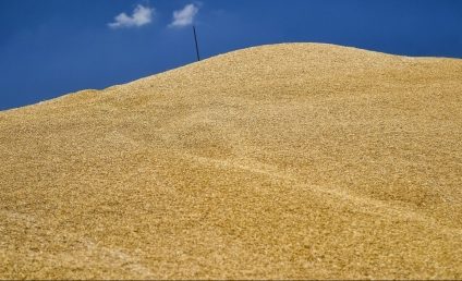 SUA resping cererea Rusiei de eliminare a sancţiunilor în schimbul deblocării livrărilor de cereale