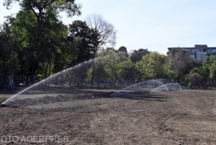 De Ziua Copilului, un loc emblematic este redat celor mici. Ministerul Educației deschide Baza Cireșarii din Capitală pentru comunitatea locală