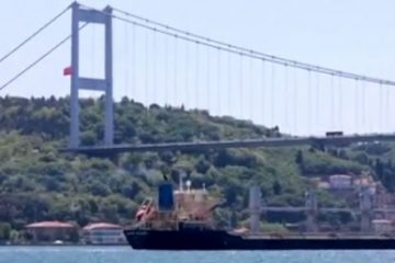 Ambasadorul ucrainean la Ankara: Turcia este unul dintre statele care  cumpără cereale furate de Rusia din Ucraina