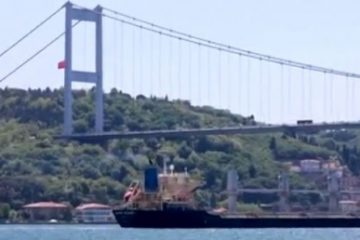 Ambasadorul ucrainean la Ankara: Turcia este unul dintre statele care  cumpără cereale furate de Rusia din Ucraina