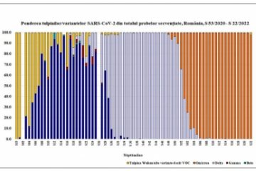 INSP: Toate cazurile de COVID secvențiate în ultima săptămână sunt cu mutația Omicron. În total, în România au fost depistate mai multe cazuri Delta decât Omicron