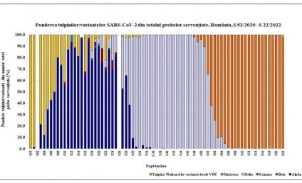 INSP: Toate cazurile de COVID secvențiate în ultima săptămână sunt cu mutația Omicron. În total, în România au fost depistate mai multe cazuri Delta decât Omicron