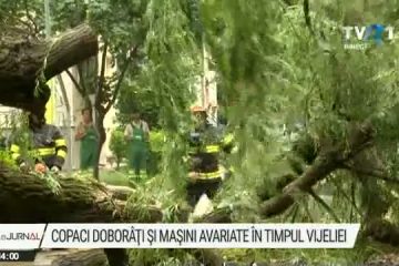 Furtunile au făcut pagube în vestul și nordul țării: arbori smulşi din pământ şi maşini avariate