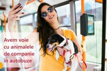 Animalele de companie au voie în mijloacele de tran în comun, în Ilfov, începând cu luna iulie