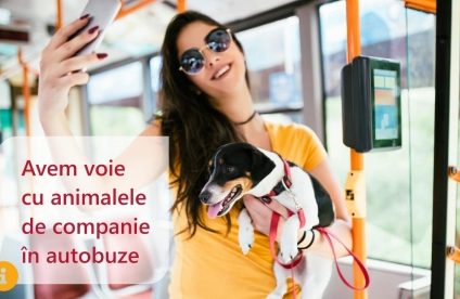 Animalele de companie au voie în mijloacele de tran în comun, în Ilfov, începând cu luna iulie