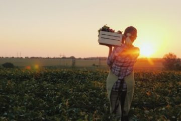 Ministrul Agriculturii: Fermierii pot accesa din 20 iulie credite cu dobândă de 2% prin programul „De trei ori subvenții”