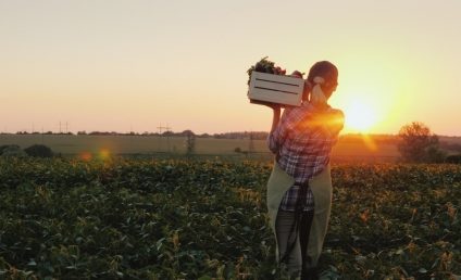 Ministrul Agriculturii: Fermierii pot accesa din 20 iulie credite cu dobândă de 2% prin programul „De trei ori subvenții”