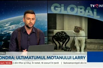 Larry, motanul din Downing Street nr. 10, a sugerat pe Twitter că dacă Boris Johnson nu demisionează va fi forțat „să-și facă nevoile” în pantofii lui