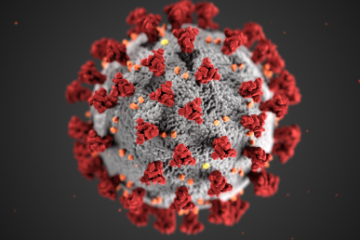 Bilanţ coronavirus România | 3.718 persoane infectate cu SARS–CoV–2, în ultimele 24 de ore. Doi copii, internaţi la ATI. Şapte persoane au decedat