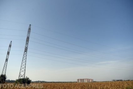 Mai multe companii care vând angro energie electrică și gaz au fost amendate pentru manipularea pieței cu 11 milioane de lei