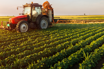Fermierii pot accesa credite de la CEC in cadrul programului „De trei ori subvenţii”. Dobânda va fi de 2% pe an plus ROBOR