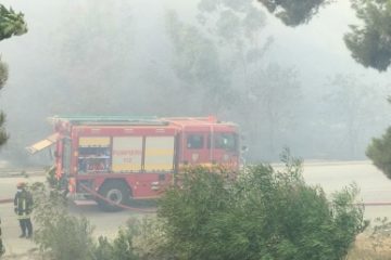 174 de incendii de vegetaţie, stinse în ultimele 24 de ore, de pompierii militari