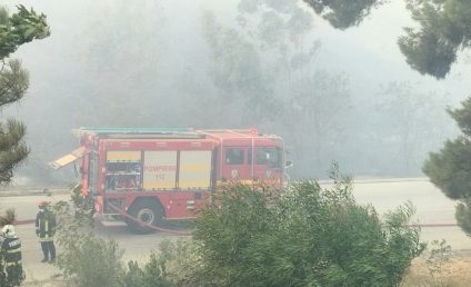 174 de incendii de vegetaţie, stinse în ultimele 24 de ore, de pompierii militari