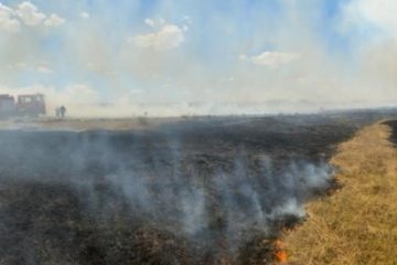 Incendiu puternic de vegetație în poligonul de la Babadag, izbucnit în urma exercițiilor militare