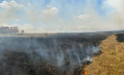 Incendiu puternic de vegetație în poligonul de la Babadag, izbucnit în urma exercițiilor militare