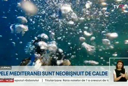 Apele Mediteranei sunt neobișnuit de calde și găzduiesc specii de peşti care nu aparțin acestui tip de eco-sistem