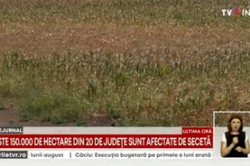 Pe pământurile din Vrancea bate vânt de sărăcie. Multe culturi sunt deja compromise de secetă și lipsa irigațiilor. Peste 150.000 de hectare, afectate în toată țara