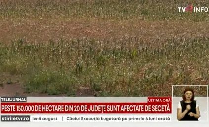 Pe pământurile din Vrancea bate vânt de sărăcie. Multe culturi sunt deja compromise de secetă și lipsa irigațiilor. Peste 150.000 de hectare, afectate în toată țara