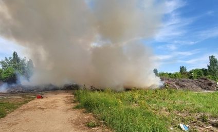 Incendiul de la Piatra Olt a afectat aproximativ 100 de hectare