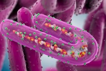 OMS confirmă două noi cazuri de infectare cu virusul Marburg în Ghana