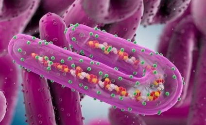 OMS confirmă două noi cazuri de infectare cu virusul Marburg în Ghana