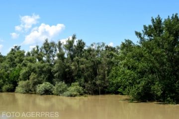 Cod galben de inundații pentru 29 de bazine hidrografice, valabil până duminică, la ora 16.00. Cod portocaliu pentru râuri din Hunedoara