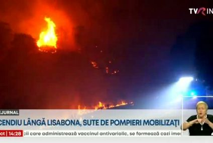 Incendiile masive de vegetație creează probleme în mai multe regiuni din Europa și SUA