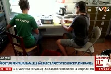 Adăposturile pentru animalele sălbatice, afectate de seceta din Franţa. Este al treilea val de caniculă de la începutul verii