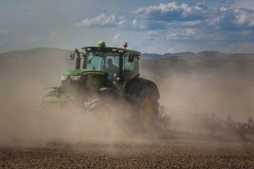 MADR: Suprafaţa totală afectată de secetă se ridică la 214.870 hectare în 25 de judeţe