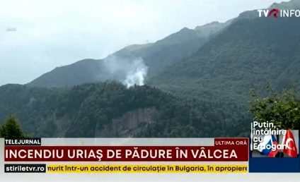 Incendiu de vegetație în munții Făgăraş. Pompierii se luptă de 24 de ore să stingă flăcările