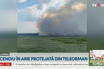 Incendiul din aria protejată, în apropierea localității Islaz, județul Teleorman, nu a putut fi stins