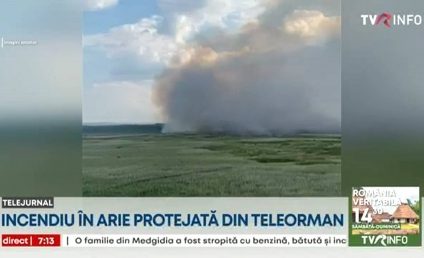 Incendiul din aria protejată, în apropierea localității Islaz, județul Teleorman, nu a putut fi stins