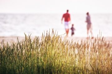 Meteo: Temperaturi normale, în următoarele două săptămâni, urmate de ploi însemnate cantitativ, abia după 14 august