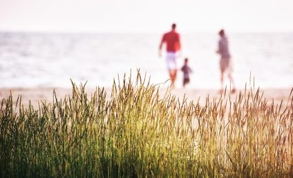 Meteo: Temperaturi normale, în următoarele două săptămâni, urmate de ploi însemnate cantitativ, abia după 14 august