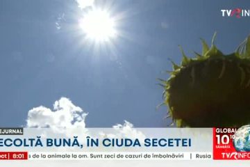 Ministrul Agriculturii, Petre Daea, susține că România va avea o recoltă bună, în ciuda secetei