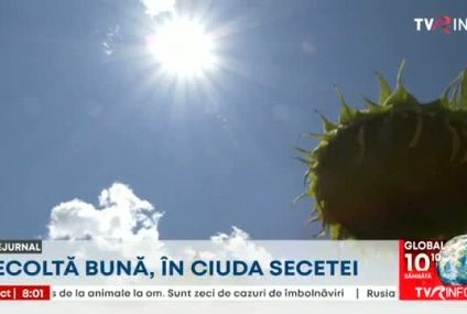Ministrul Agriculturii, Petre Daea, susține că România va avea o recoltă bună, în ciuda secetei