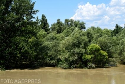 Avertizări de inundații în bazine hidrografice din Transilvania și Banat