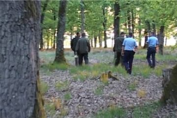 Vrancea: Bătrână căutată de autorităţi după ce a plecat să culeagă ciuperci şi s-a rătăcit în zona mănăstirii Tarniţa