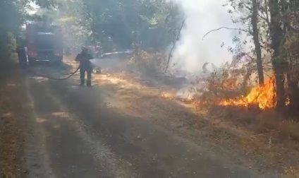 Pompierii români care acordă ajutor Franței în stingerea incendiilor masive de vegetație acționează marți în apropierea localității Belin-Béliet