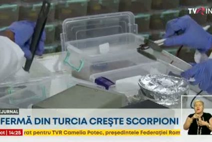 O fermă din Turcia crește scorpioni. Veninul insectelor se folosește în industria farmaceutică