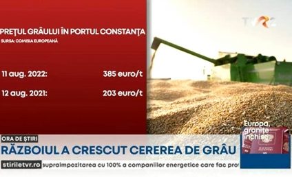 Romania a ajuns al doilea cel mai mare exportator de grâu din UE. Procesatorii se tem că nu vor putea asigura stocuri pentru consumul intern
