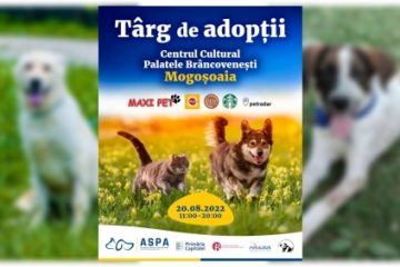 Cel mai mare târg de adopţii ASPA din această vară, la Palatele Brâncoveneşti de la Mogoşoaia