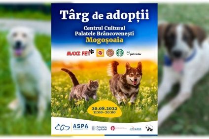 Cel mai mare târg de adopţii ASPA din această vară, la Palatele Brâncoveneşti de la Mogoşoaia