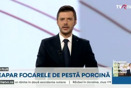 Focare de pestă porcină africană în județul Olt