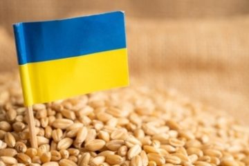 Ucraina: Recolta de cereale în acest an ar putea scădea până la 52,5 – 55,4 milioane de tone de la nivelul record de 86 milioane de tone. Scad și exporturile