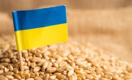 Ucraina: Recolta de cereale în acest an ar putea scădea până la 52,5 – 55,4 milioane de tone de la nivelul record de 86 milioane de tone. Scad și exporturile