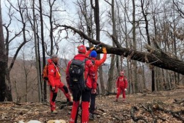 Maramureş: Bărbat căzut dintr-un copac, găsit fără viaţă de salvamontişti